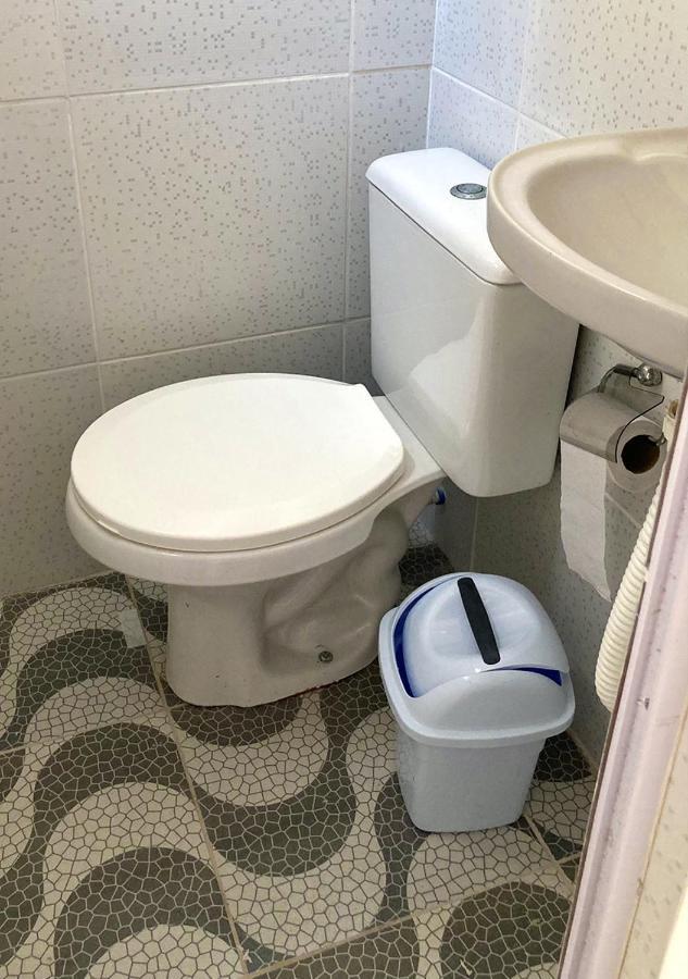 Girassol Da Albergue